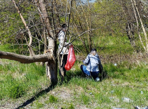Międzynarodowy Dzień dla Ziemi