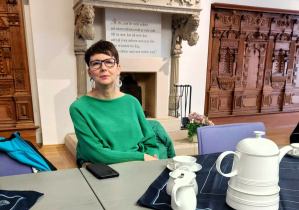 Zdjęcie 15 na 24