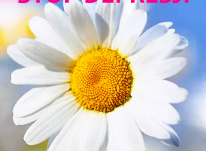 Stokrotka z napisem stop depresji