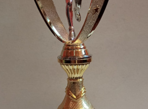 XIV BIEG OLIMPIJCZYKÓW