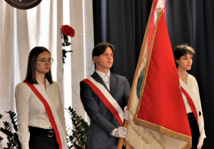 Zdjęcie 2 na 43